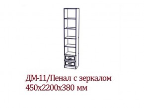 ДМ-11 Пенал с зеркалом в Нязепетровске - nyazepetrovsk.магазин96.com | фото