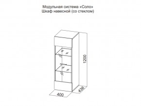 Шкаф навесной (со стеклом) в Нязепетровске - nyazepetrovsk.магазин96.com | фото