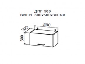 Шкаф верхний ДПГ500 горизонтальный в Нязепетровске - nyazepetrovsk.магазин96.com | фото