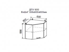 Шкаф верхний ДПУ600 угловой в Нязепетровске - nyazepetrovsk.магазин96.com | фото