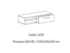 Тумба 1220 (низкая) в Нязепетровске - nyazepetrovsk.магазин96.com | фото