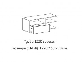 Тумба 1220 (высокая) в Нязепетровске - nyazepetrovsk.магазин96.com | фото